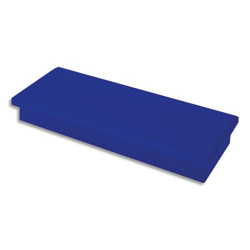 Aimants rectangulaires  tton 1er prix - 2.2 x 4.8 cm - coloris bleu - plaquette de 2