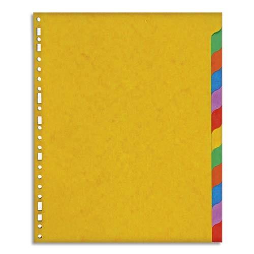 Intercalaires touches neutres 1er prix - carte lustre 220 g - A4+ - 12 positions - coloris assortis