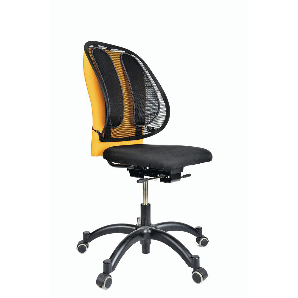 Support dorsal pour chaise de bureau Fellowes
