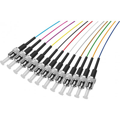 Hypertec 392256-hy cble infiniband et  fibres optiques 2 m 12x st pigtail multicolore