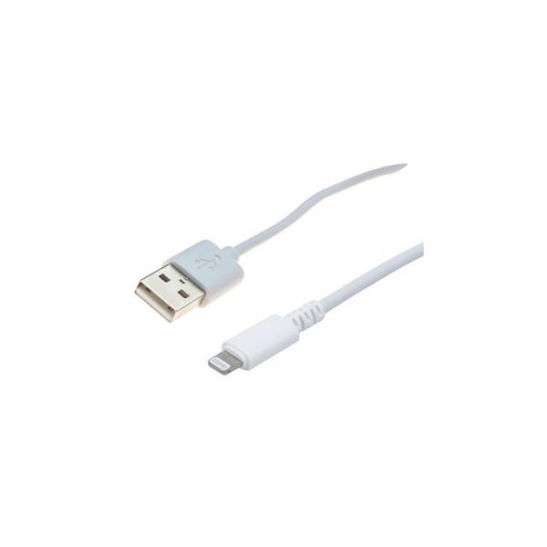 Just in case 8307200 cble usb usb 3.2 gen 1 (3.1 gen 1) 0,2 m usb a lightning blanc