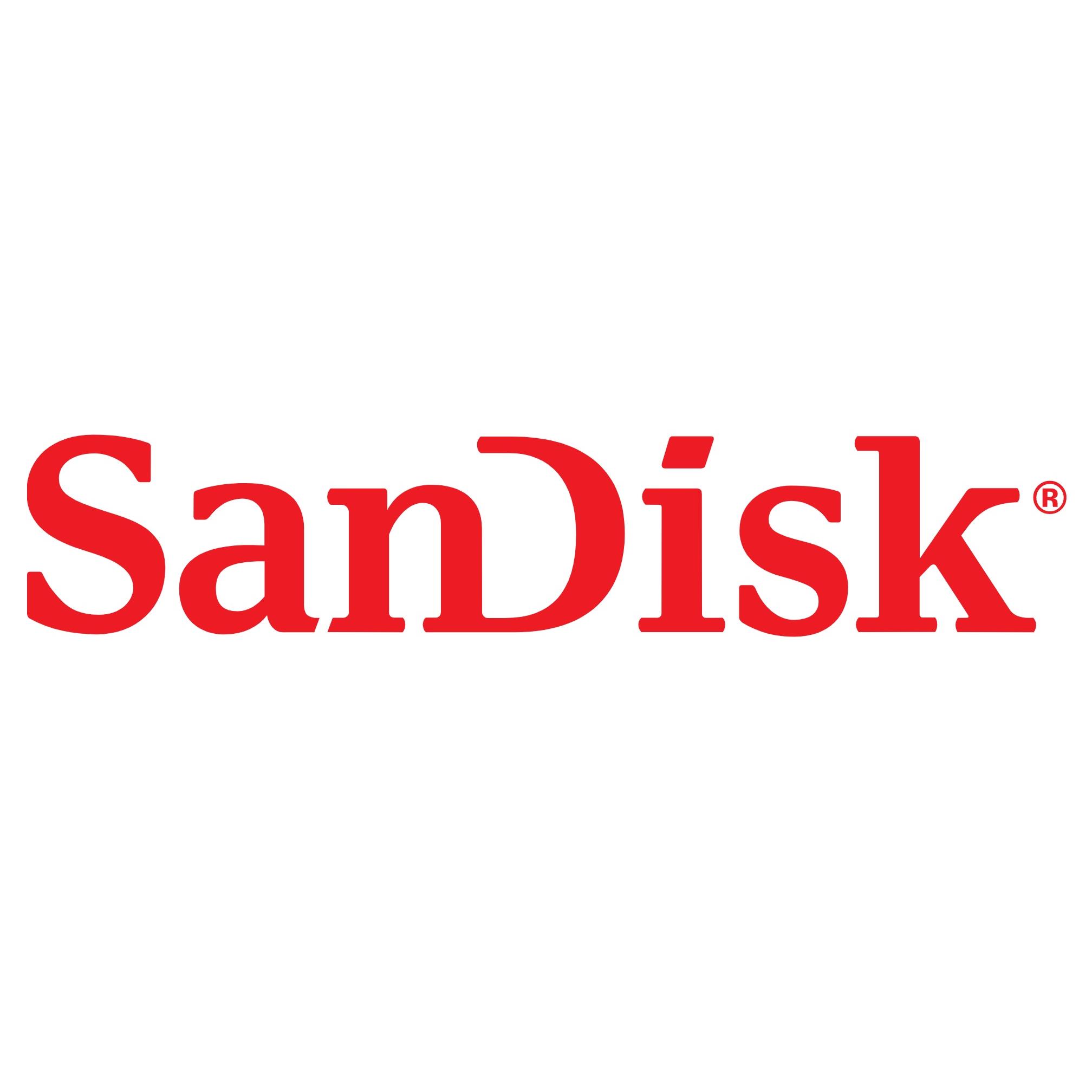 Sandisk ultra luxe lecteur usb flash 1 to usb type-c 3.2 gen 1 (3.1 gen 1) acier inoxydable