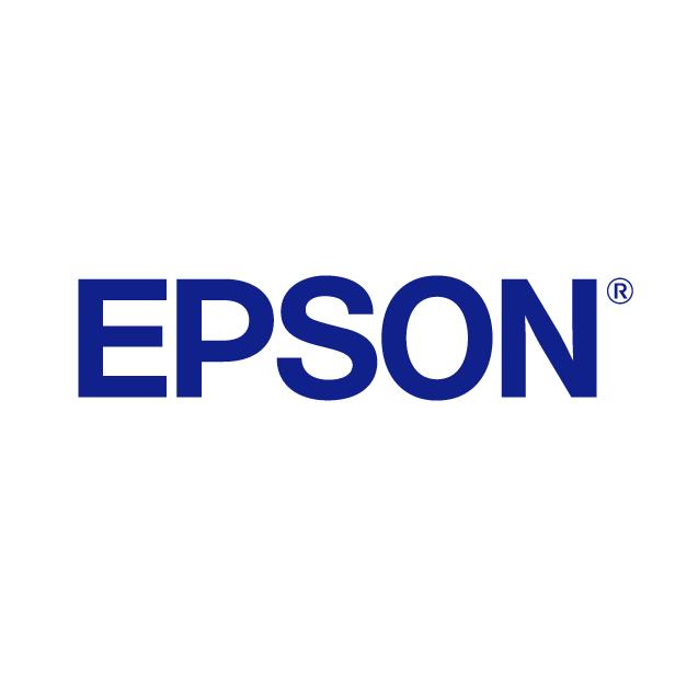 Epson T6141 - Cartouche d'impression - 1 x photo noire - pour Stylus Pro 4400, Pro 4450