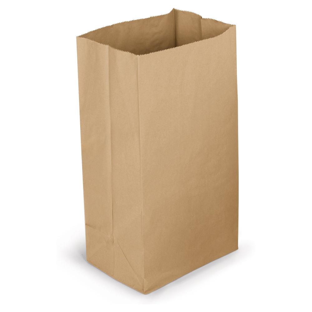 Sac kraft recycl 25 x 40 x 15 cm