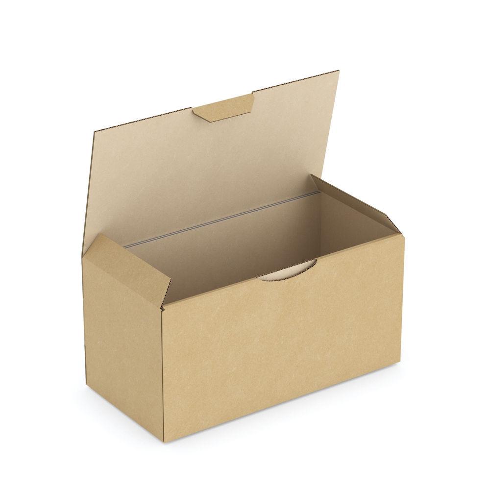 Bote carton brune d'expdition RAJAPOST 20x10x10 cm