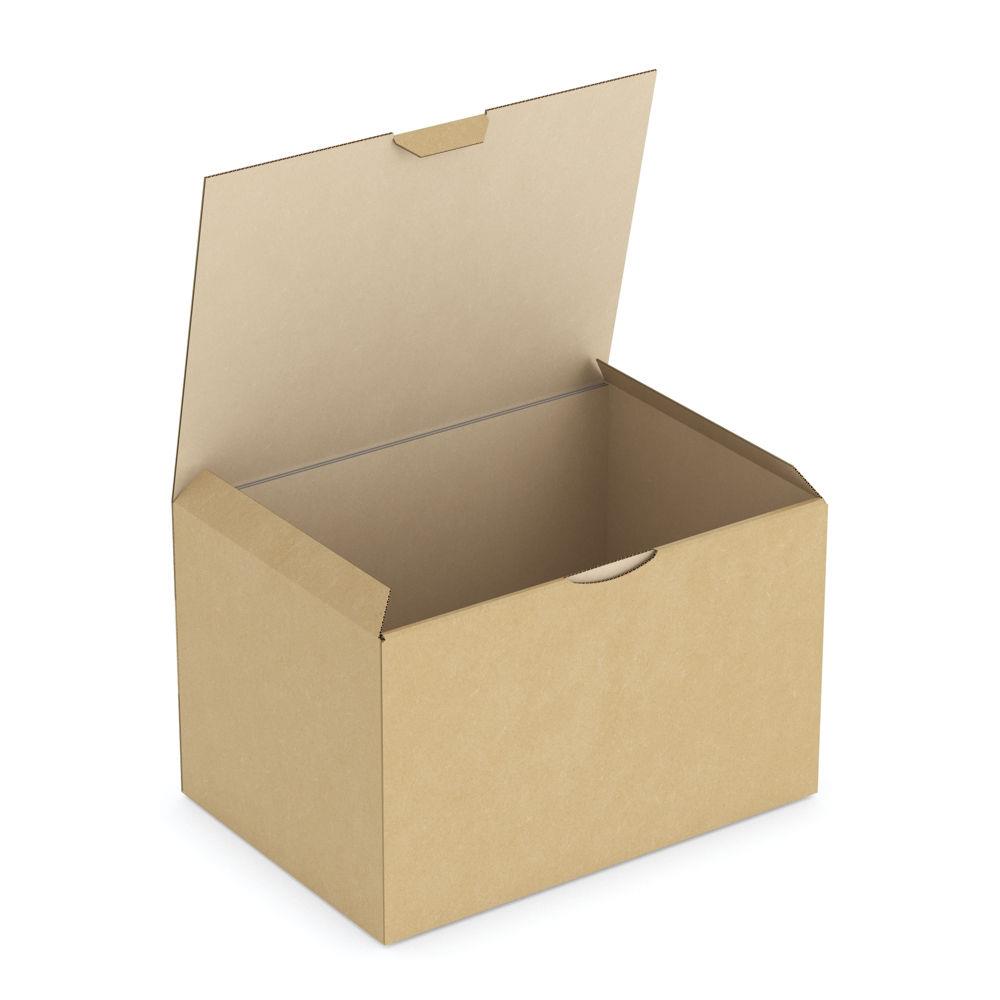Bote carton brune d'expdition RAJAPOST 24x17x15 cm