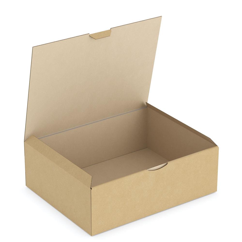 Bote carton brune d'expdition RAJAPOST 30x24x10 cm