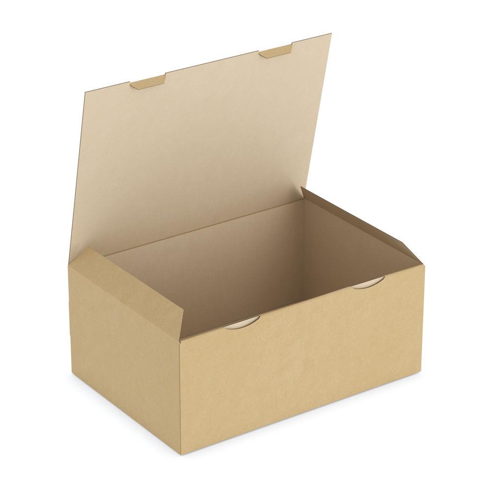 Bote carton brune d'expdition RAJAPOST 43x30x18 cm