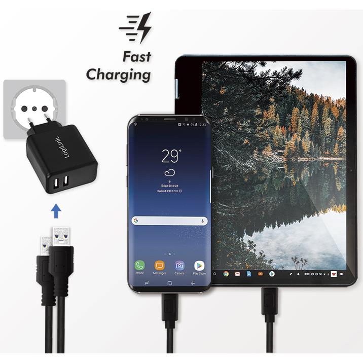 LogiLink Chargeur secteur USB, 2x USB, 12 watts, noir