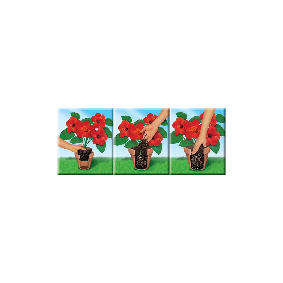 COMPO SANA Terreau de rempotage de qualit pour fleurs, 20 l