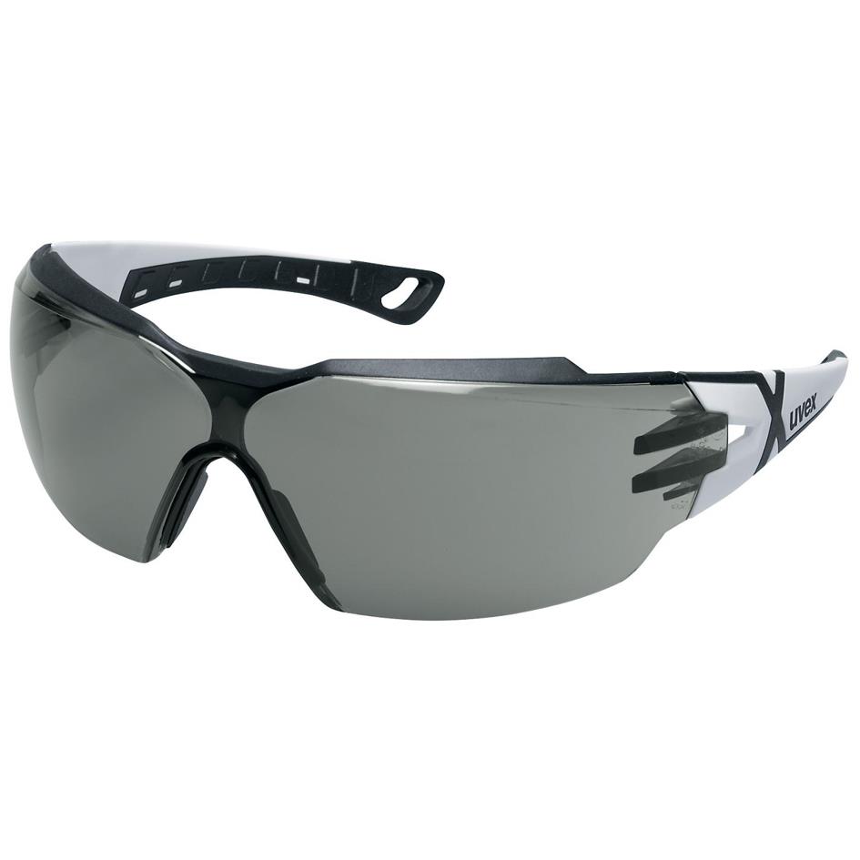 uvex Lunettes de scurit pheos cx2, teinte des verres: gris