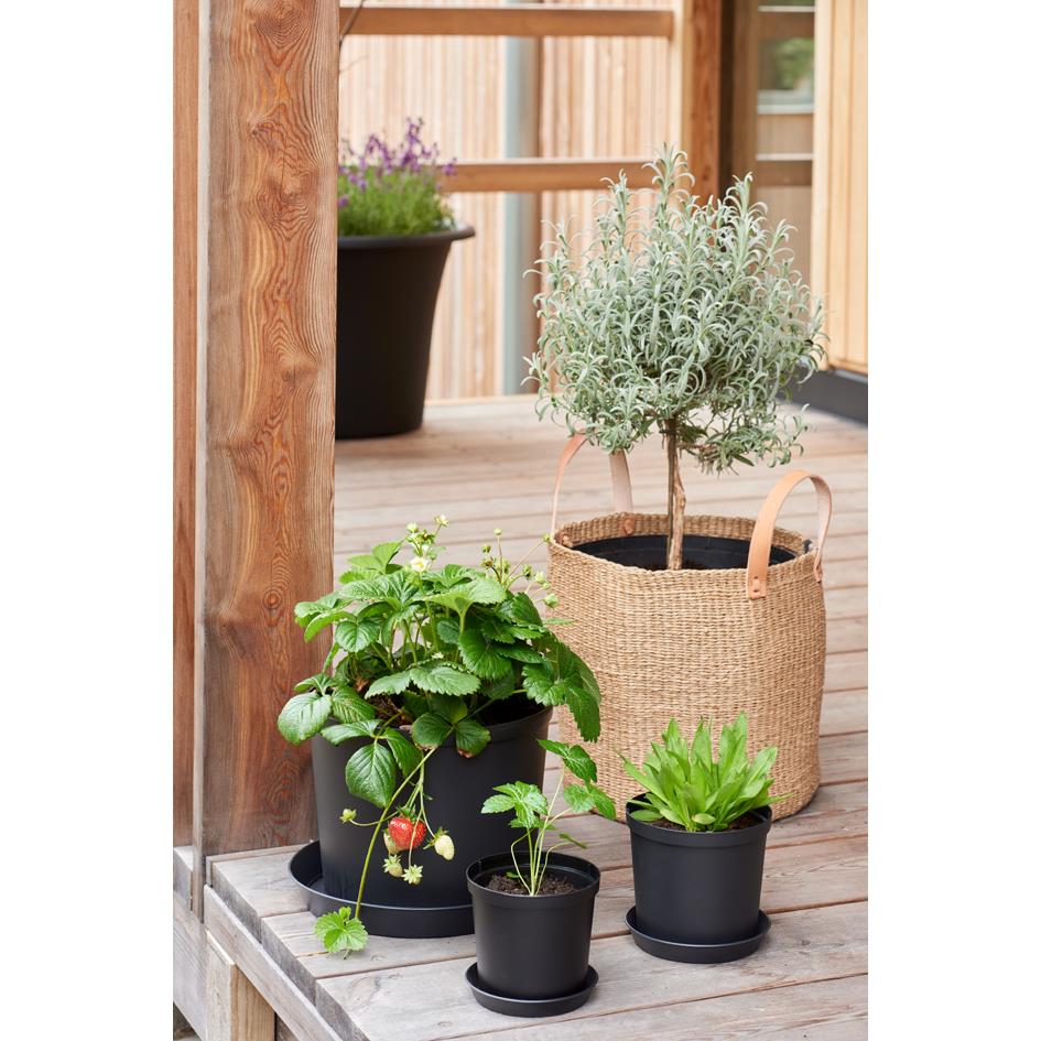 Orthex Pot De Fleurs CULTIVATE Diam tre 140 Mm Noir Pas Cher Orthex Pot De Fleurs CULTIVATE Diam tre 140 Mm Noir Pas Cher