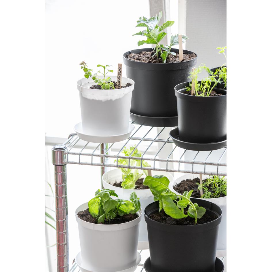 orthex Pot de fleurs CULTIVATE, diamtre: 180 mm, gris