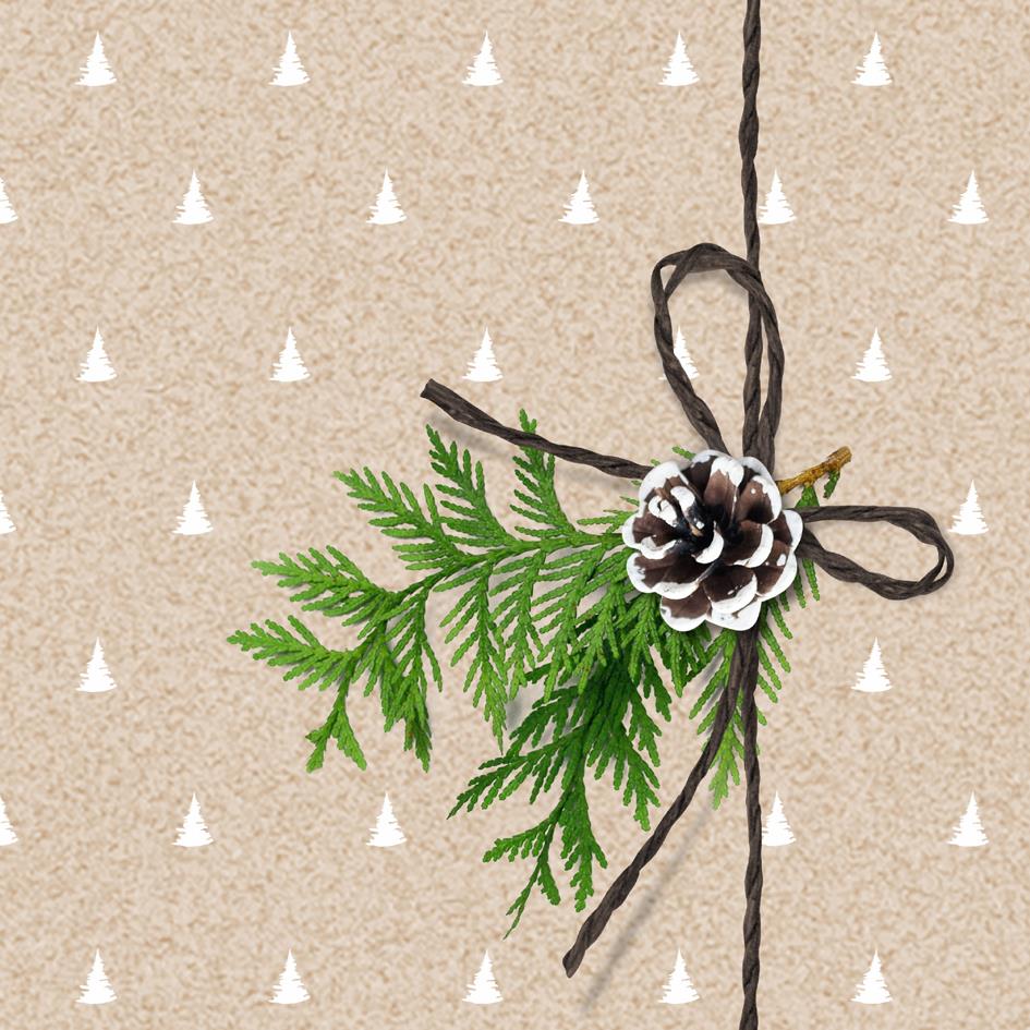 PAPSTAR Serviette  motif de Nol 'It's cold outside'
