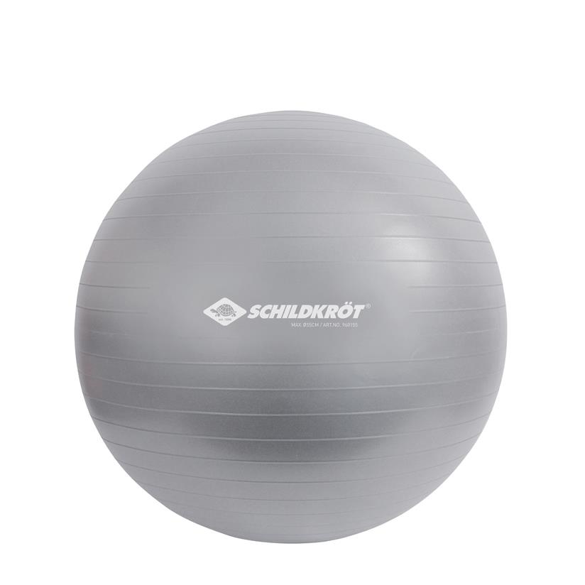 SCHILDKRoT Ballon de gymnastique, diamtre: 550 mm, argent
