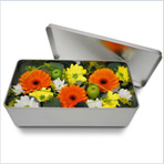 123fleurs